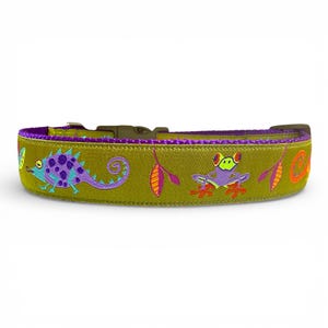 Chameleon - Tree Frog - Rainforest - Dog Collar - 1" Width