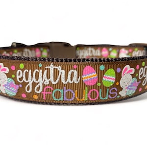 Eggstra Fabulous - Easter - Easter Eggs - Easter Bunny - Spring - Dog Collar - 1&quot; Wide