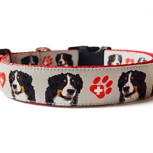 Bernese Mountain Dog - Berner - Grey - Red - Dog Collar - 1" width