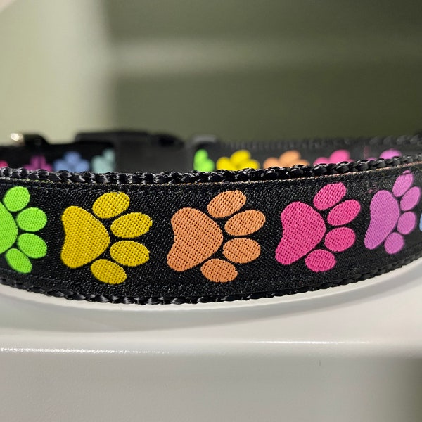 Rainbow Dog Collar Etsy