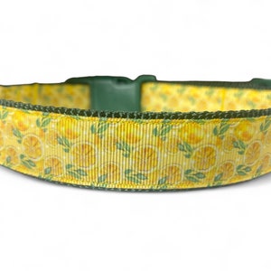 Lemon - Fruit - Citrus - Yellow - Green - Dog Collar - 3/4&quot; and 1&quot; Widths