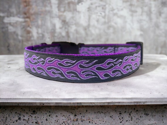 Purple dog 2024 collars and leashes