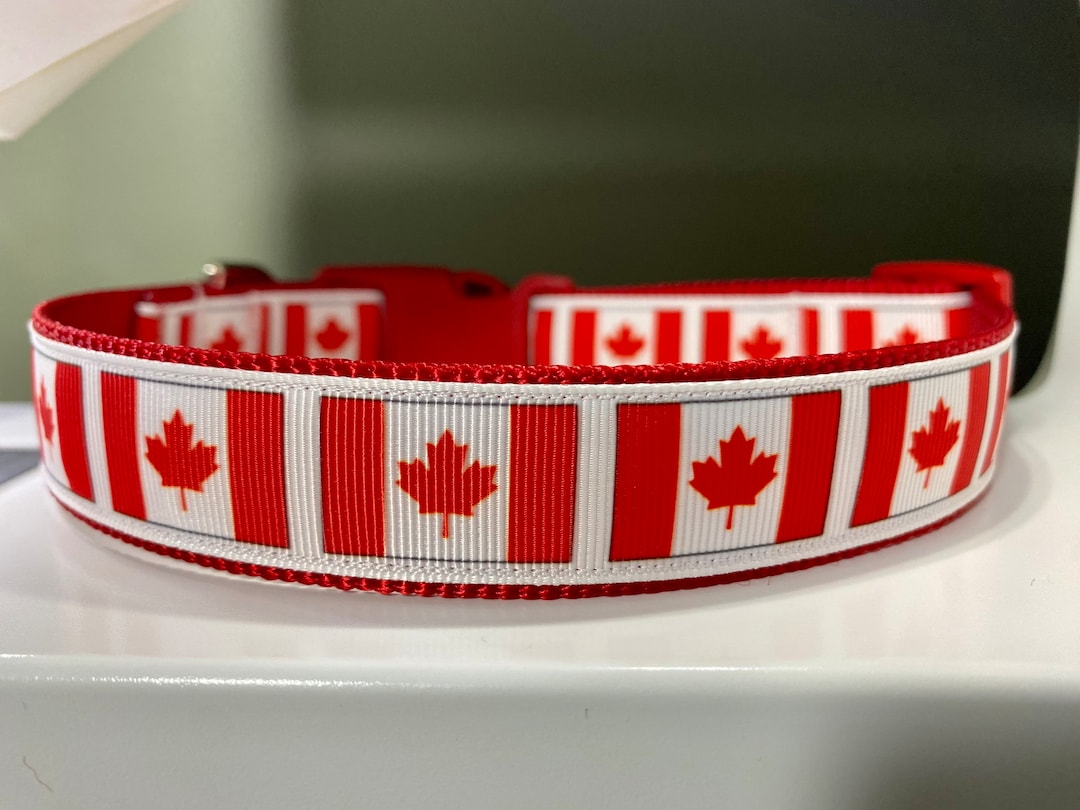 Canadian Flag Canada Maple Leaf Dog Collar 1 Wide Matching Leash