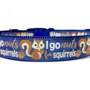 May include: Blue dog collar with white text that reads "I go nuts for squirrels" and a brown squirrel graphic.
