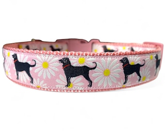 Labrador Retriever - Lab - Daisy - Flower - Pink - Dog Collar - 1" Wide