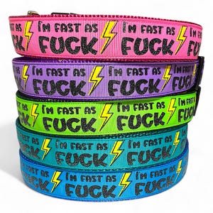 I'm Fast As FucK Dog Collar 1" Wide, Matching Leash Available