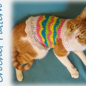 Pet Sweater Crochet Pattern for Cat or Small Dog - Easter Eggcellent Egg