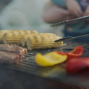 Half Moon Grill Grate