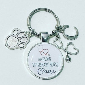 Veterinary Nurse Keyring: Personalised Name and Charms (Silver Paw & Stethoscope)