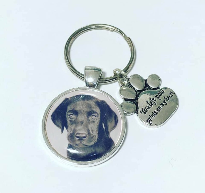 Dog Personalised Photo Keyring You Left Paw Prints on My Etsy UK