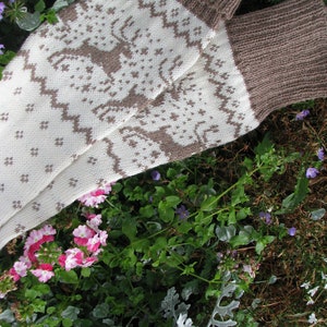 May include: A pair of knitted socks with a white background and brown geometric pattern. The socks are folded and lying on a bed of green and gray plants.