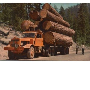 Könnte beinhalten: Ein orangefarbener Holztransporter, der eine große Ladung Holz auf einer asphaltierten Straße transportiert. Der LKW transportiert mindestens sechs Baumstämme, von denen einige über 3 Meter lang sind. Der LKW fährt durch einen Wald, wobei Bäume beide Seiten der Straße säumen.