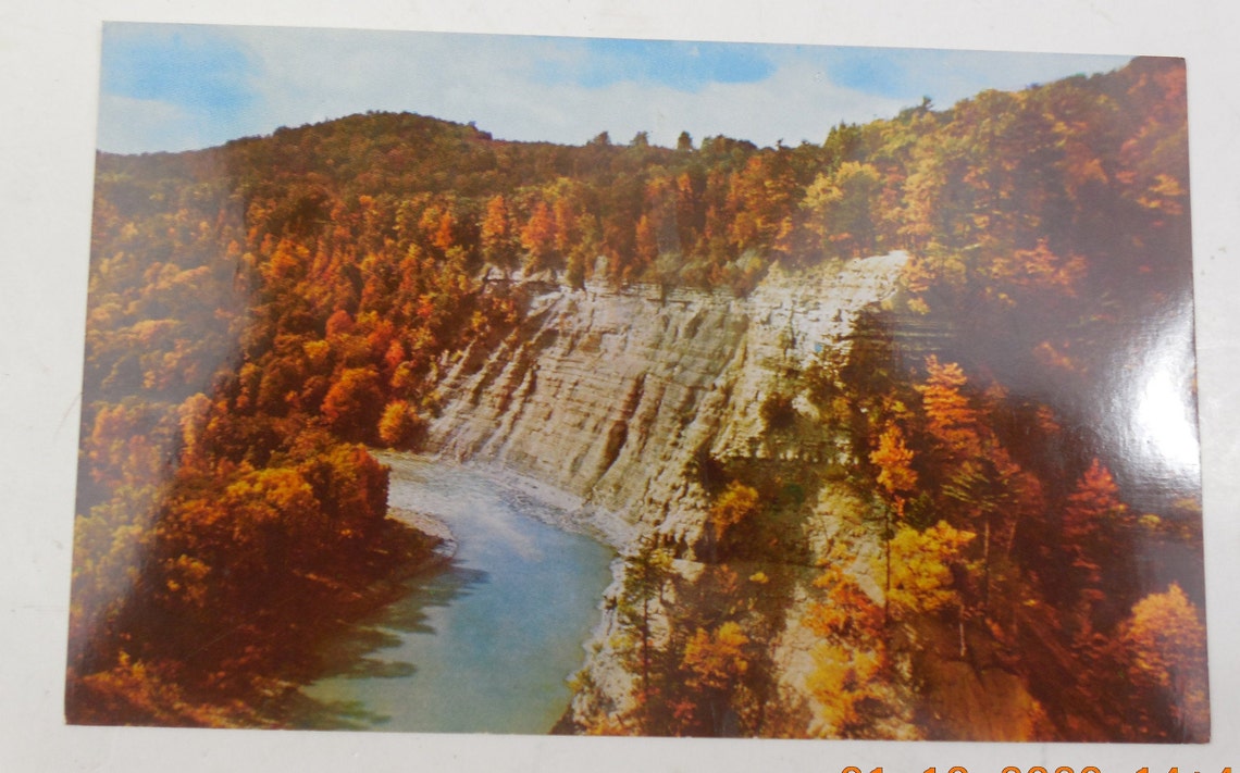 Postcard Wolf Creek Portageville New York Letchworth State Etsy