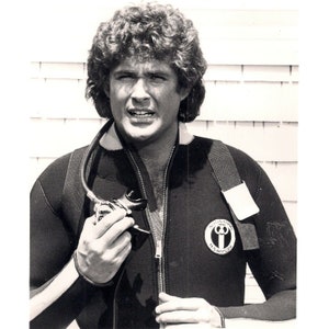 David Hasselhoff In A Wet Suit From The Series Knight Rider Black White 8 x 10 Glossy