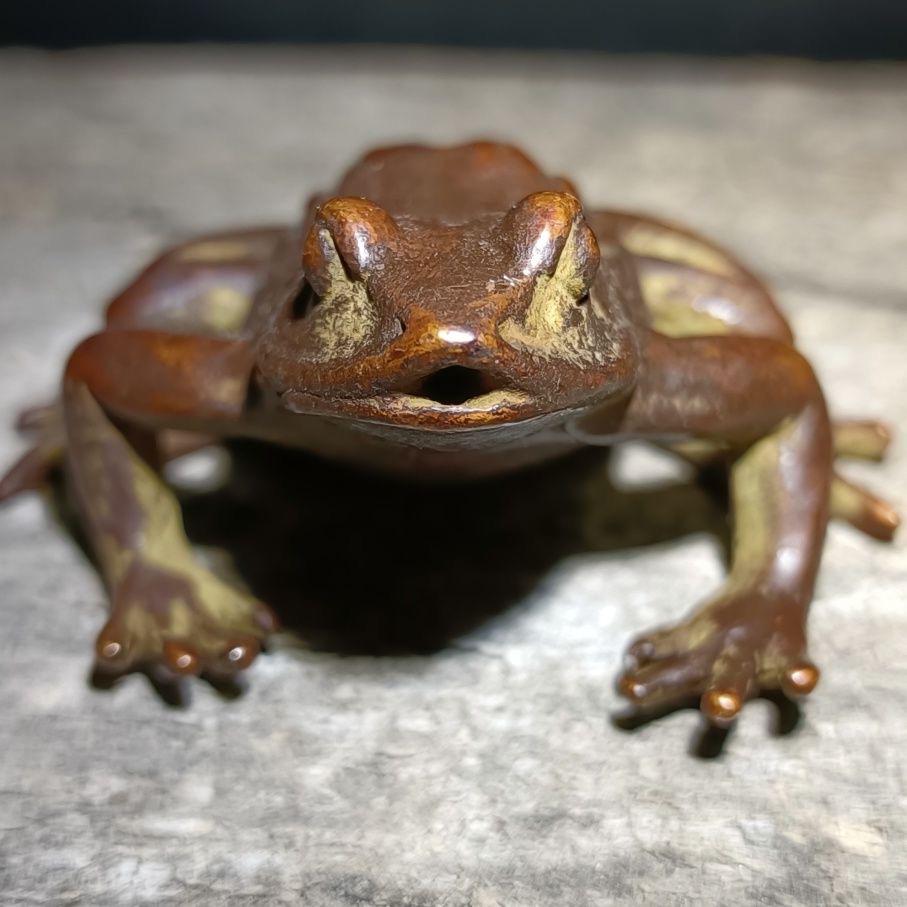 Copper Frog Collect Hand Carved Exquisite and Rare Copper Frog Statue Ornament,tea ...