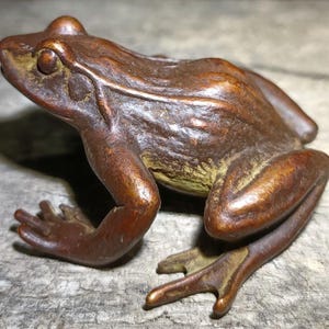 Könnte beinhalten: Eine detaillierte Bronzefroschskulptur mit strukturierter Oberfläche. Der Frosch ist in sitzender Position dargestellt, mit ausgestreckten Vorderbeinen und angezogenen Hinterbeinen. Die Skulptur hat eine satte braune Farbe mit Grüntönen.