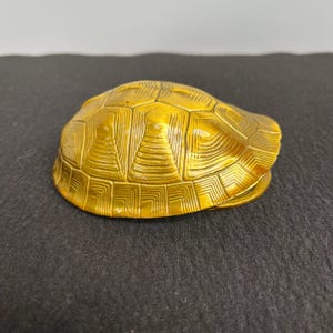 May include: A gold-coloured turtle shell with intricate geometric patterns. The shell is open, revealing the interior. This decorative item or small container showcases a blend of artistry and nature-inspired design.