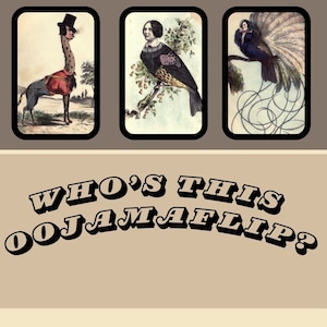 May include: A vintage game card with the text "Who's This Oojammaflip?" and a fun communication game to get the imagination flowing. The card features three illustrations of fantastical creatures.