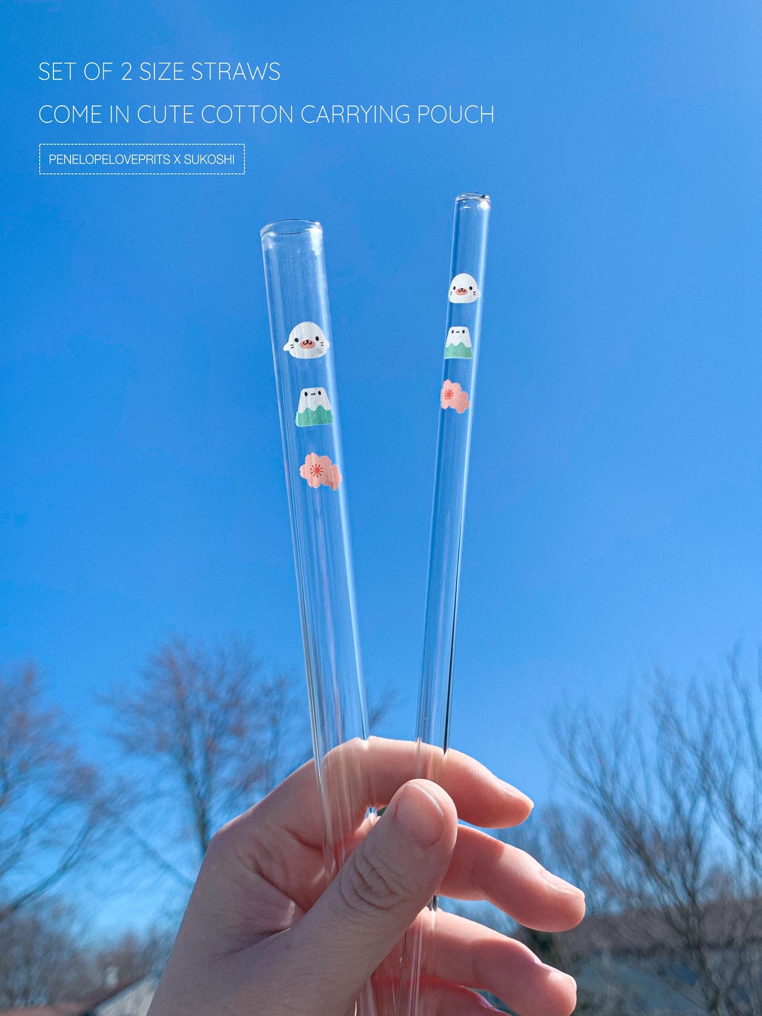 DEFECTIVE STRAW Reusable Glass Straw Set With Decorative Print, Boba Straws,  Kawaii Straws, Eco-friendly Straws 