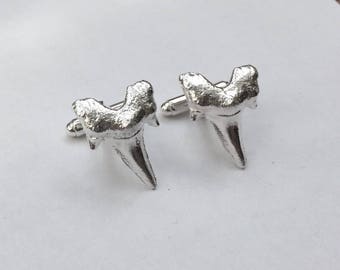 Silver sharks tooth cufflinks