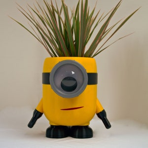 Minion Flower Pot