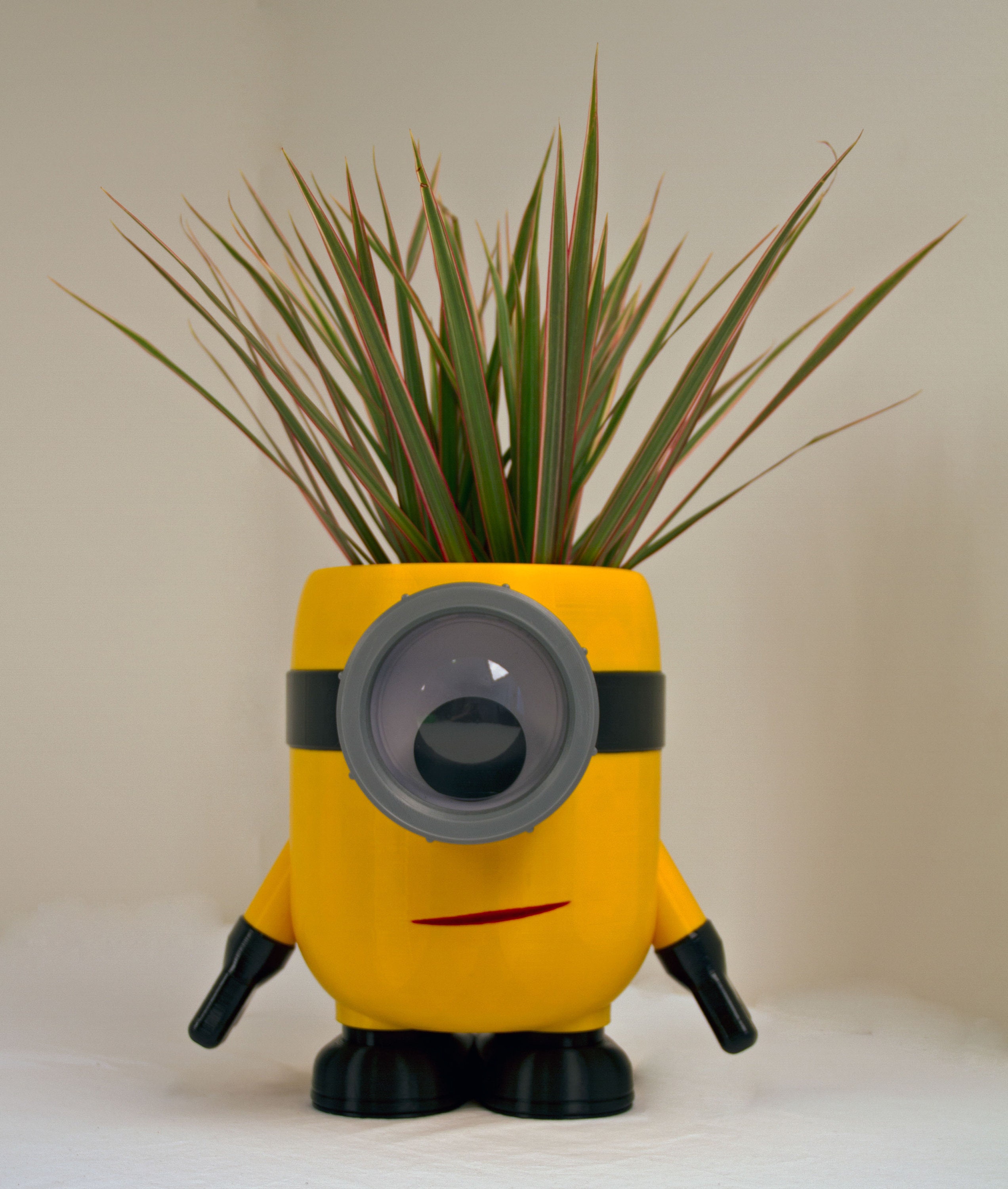 Indoor Planters Minions Despicable Me Inspired Flower Succulent Pot