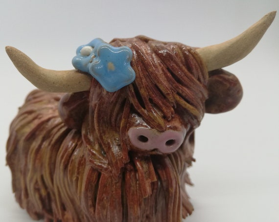 Forget me not Highland Coo