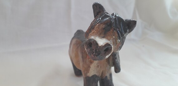 Shaggy pony