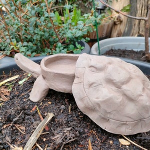 May include: A ceramic turtle planter with a removable top, perfect for small plants or succulents. The turtle is a light brown color and has a detailed shell.
