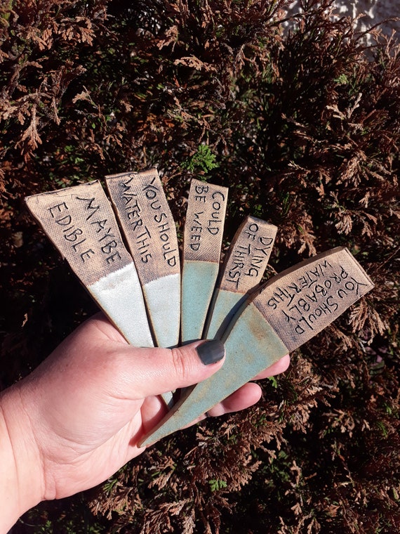 Sarcastic plant labels