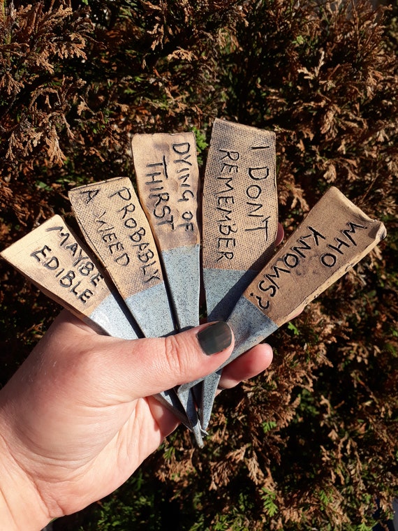 Sarcastic plant labels