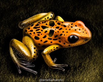 Dart Frog 4x6 or 8x10 Art Print