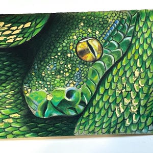 May include: A detailed painting of a green snake's head, featuring a yellow eye with a black slit pupil. The snake's scales are meticulously rendered in shades of green, with gold accents. The artwork is signed in the bottom right corner.