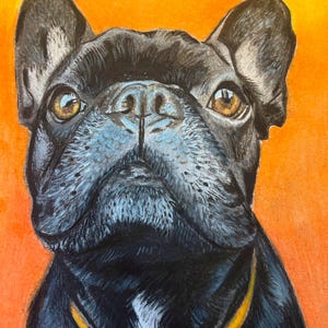 French Bulldog 7x10 Pastel Pencil Drawing