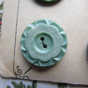 12 Vintage Green Plastic Flower Buttons, 11/16&quot; (17mm) Two-Hole