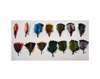May include: Assortment of 14 feather trims in various colours and patterns, labelled A through N.