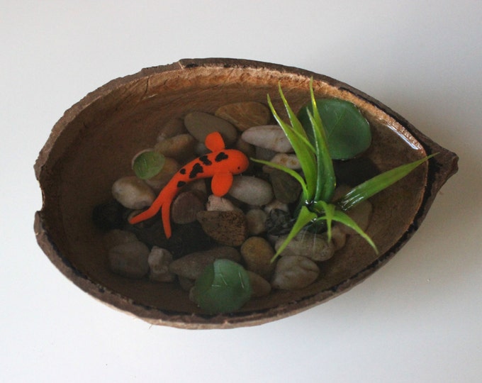Miniature Koi Pond in Coconut Fake Koi Pond Polymer Clay Koi Etsy