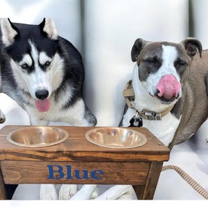 Dog Bowl Stand - Dog Feeder - Dog Bowl- Elevated Dog Bowl - Raised Dog Bowl - Personalized Dog Bowl - Dog