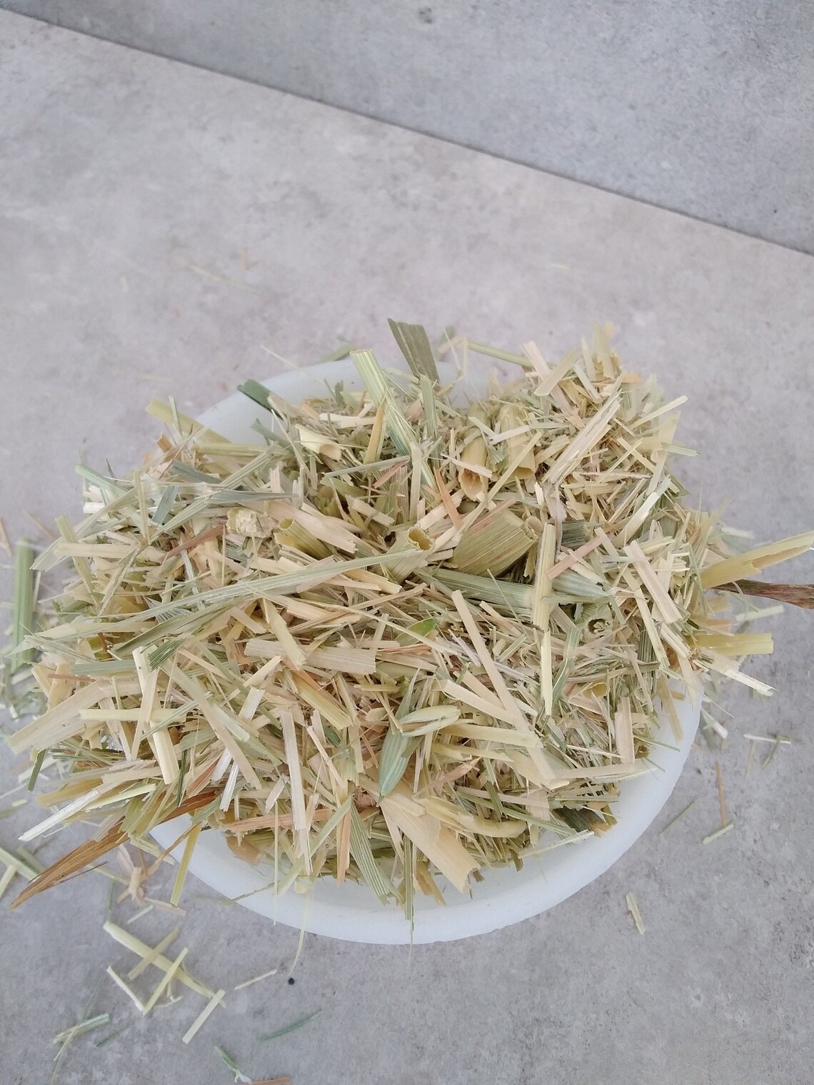 Oat Straw Harvested in USA Organically Grown Avena Etsy