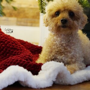 May include: A small, light brown, curly-haired dog sitting on a red and white blanket. The blanket has a textured, quilted design. The dog is looking directly at the camera.