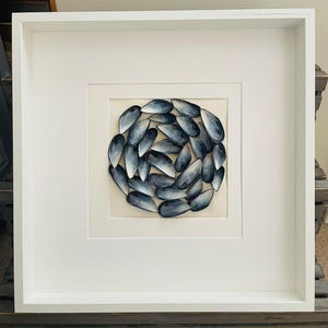 Mussels design frame