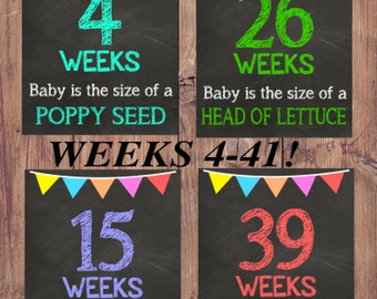 Weeks of Pregnancy Chalkboard Signs Weeks 4-41 Included! Printable Signs Size of Baby Chalkboard Sign Pregnancy Weekly Pregnancy Countdown