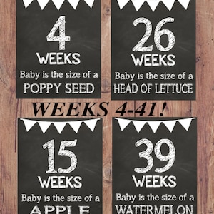 Weekly Pregnancy Chalkboard Signs Weeks 4-41 Instant Download Printable Signs Pregnancy Signs Chalkboard Sign Weekly Pregnancy Countdown