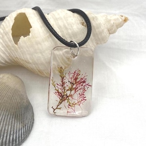 Natural Seaweed Pendant. Beach Theme Pink & Green Seaweed Necklace. Coastal Botanical Jewellery Gift.