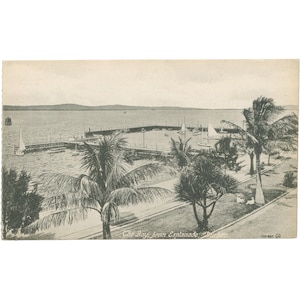 Durban, Sud Africa La baia dall'Esplanade – Vista panoramica sul mare Cartolina dei primi del XX secolo