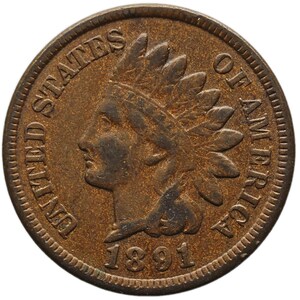 Moneta da un centesimo della testa indiana degli Stati Uniti del 1891
