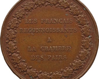 France, Médaille, Allégorie de l'Effort, Bronze argenté, Bertrand, SUP