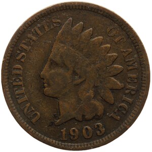 Moneta da un centesimo della testa indiana degli Stati Uniti del 1903