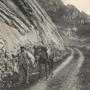 Les Pyrénées - Retour d'Excursion France Carte postale vintage