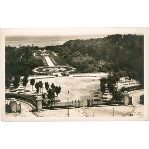 Algeri, Algeria - Cartolina del Jardin d'Essai Metà del XX secolo